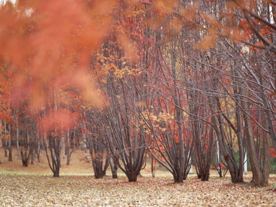 自然资源概况_第2页