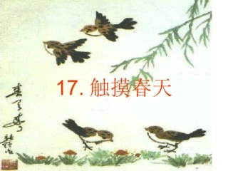 《17触摸春天》课件