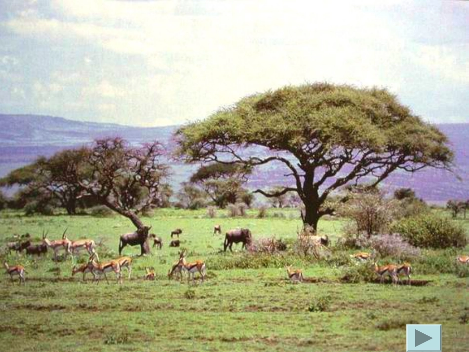 生态系统的基本组成及相互关系_第2页