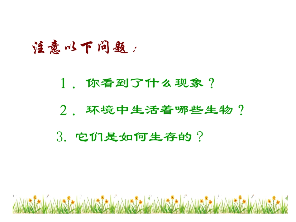 生态系统的基本组成及相互关系_第3页