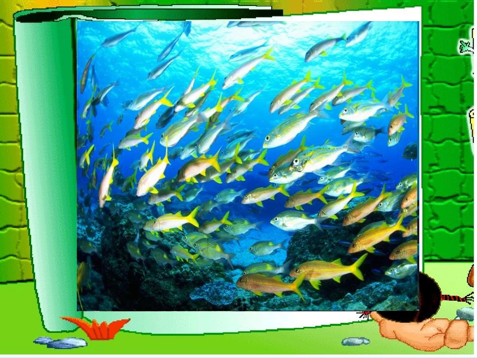 《富饶的西沙群岛》 (3)_第3页