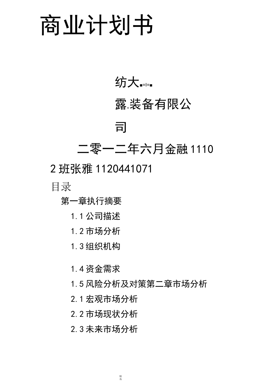 露营 商业计划书_第1页