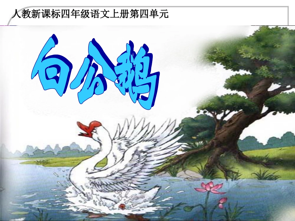 《白公鹅》教学课件2_第2页