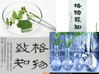 应有格物致知精神 (2)