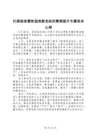 扫黑除恶暨软弱涣散党组织整顿提升专题培训心得