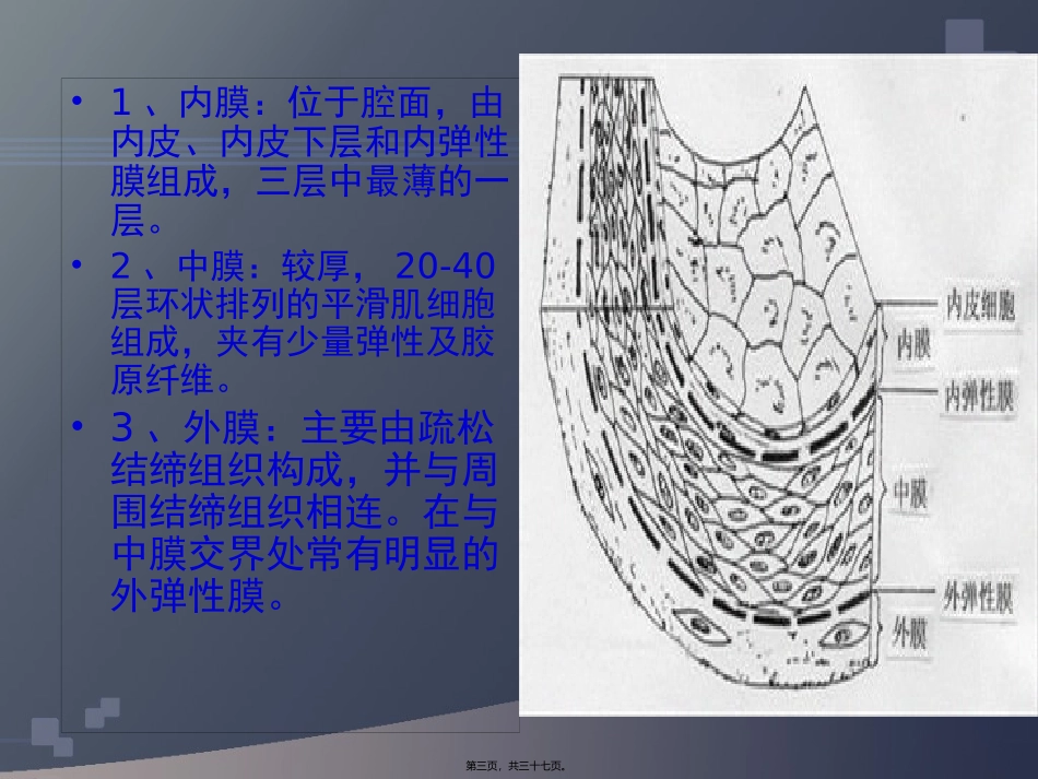 下肢血管超声检查_第3页