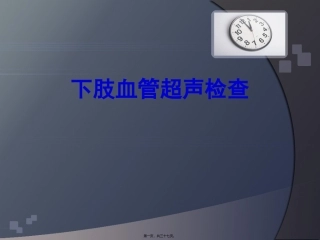 下肢血管超声检查