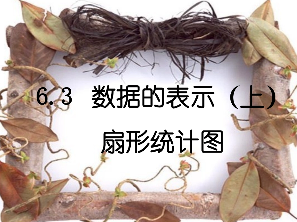 数据的表示第课时_第1页