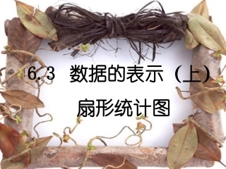 数据的表示第课时