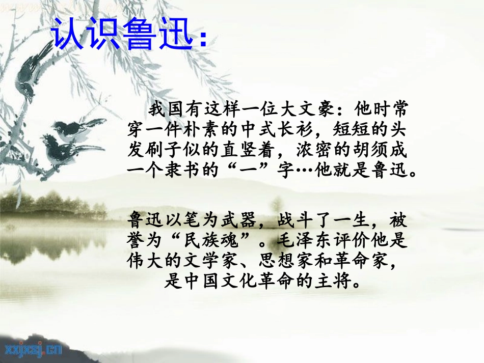 六年级上册17课《少年闰土》_第2页