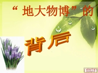 《大物博的背后》PPT