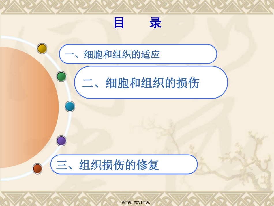 第二章组织损伤修复与适应_第2页