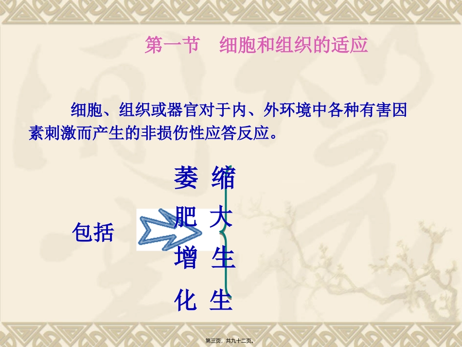 第二章组织损伤修复与适应_第3页