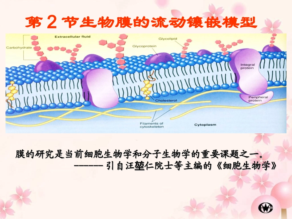 生物膜的流动镶嵌模型_第1页