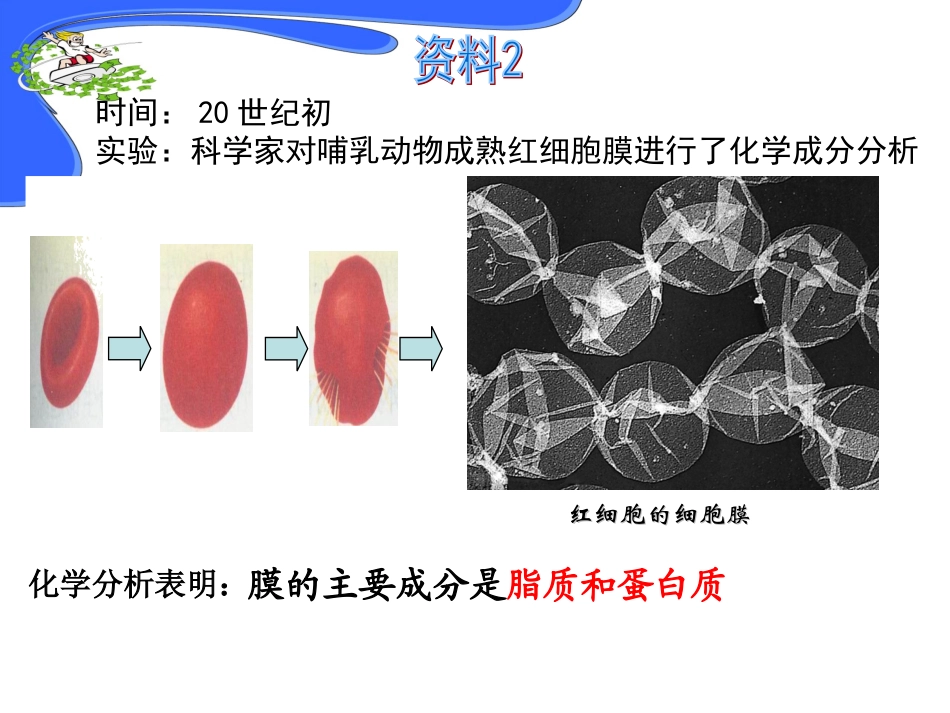 生物膜的流动镶嵌模型_第3页