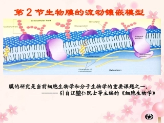 生物膜的流动镶嵌模型