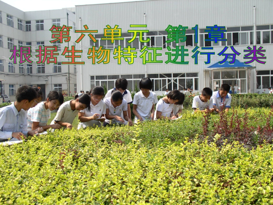 尝试对生物进行分类PPT课件_第1页