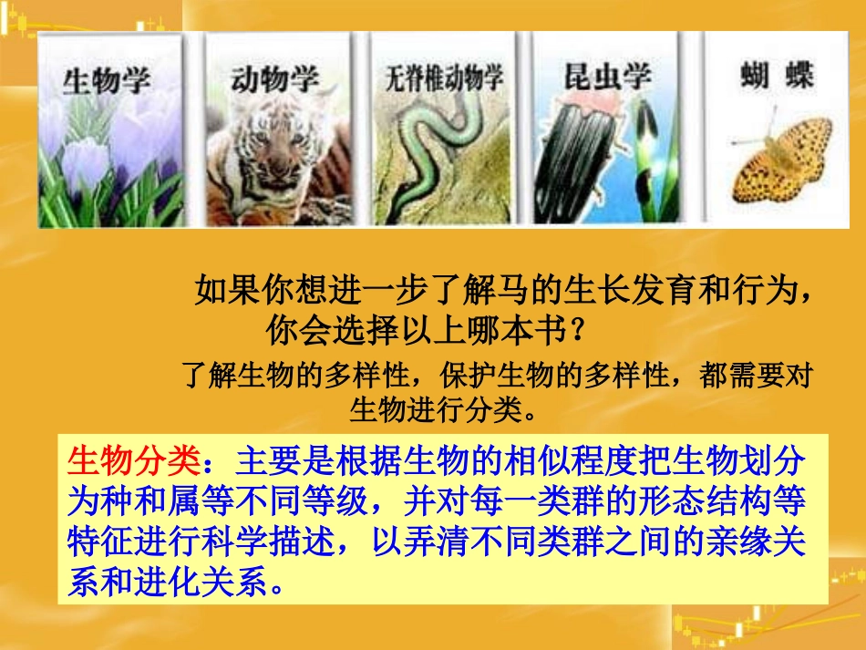 尝试对生物进行分类PPT课件_第3页