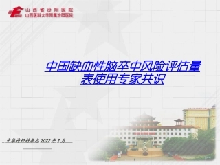 中国缺血性脑卒中风险评估量表使用专家共识1