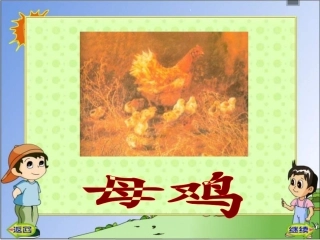 《母鸡》PPT课件
