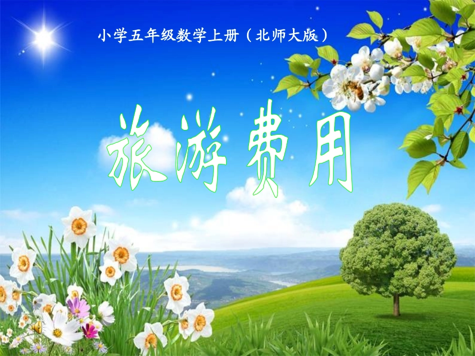 旅游费用课件_第1页