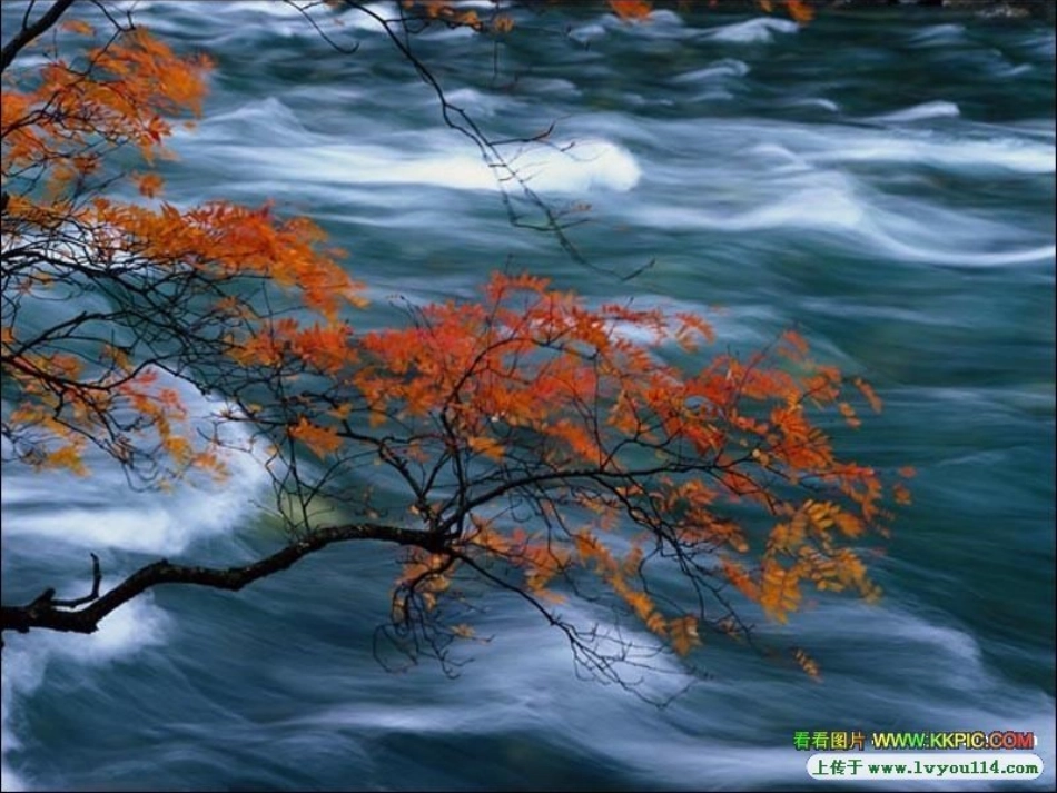 旅游费用课件_第3页