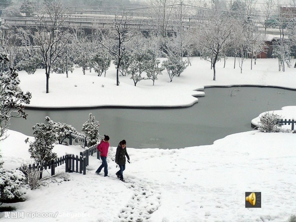 《观察表达》_第1页