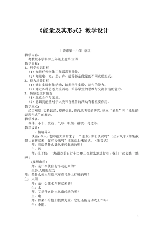 能量及其形式(2)