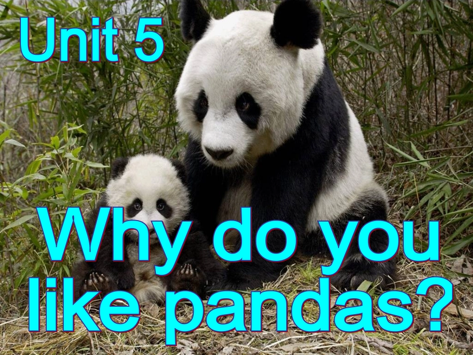 人教版七年级英语下册Unit_5_Why_do_you_like_pandas_课件PPT2013春_第1页