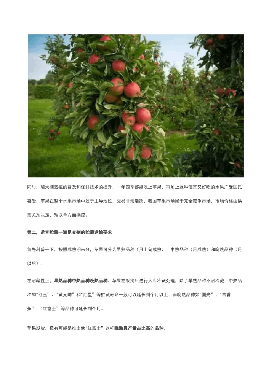 苹果期货。市场规模、产地气候、波动因素、操作手法_第2页