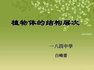植物体的结构层次 (2)