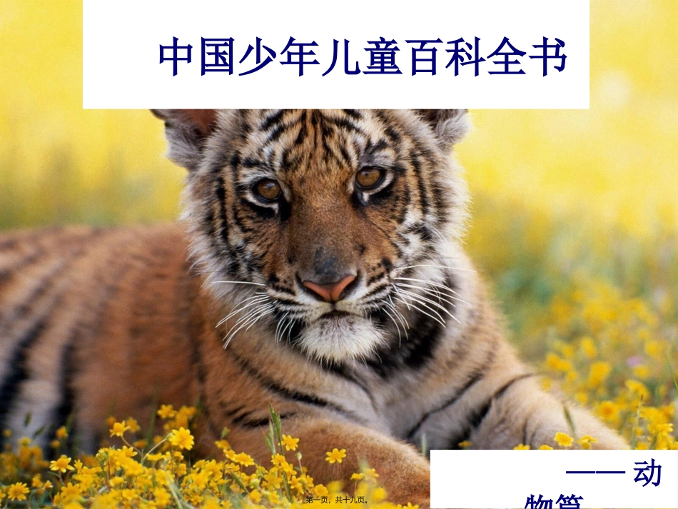 中国少年儿童百科_第1页