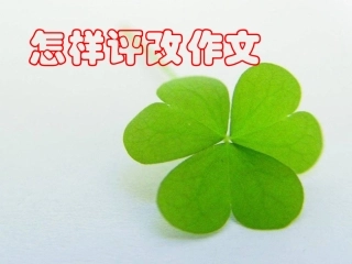 作文批阅---互评互改2