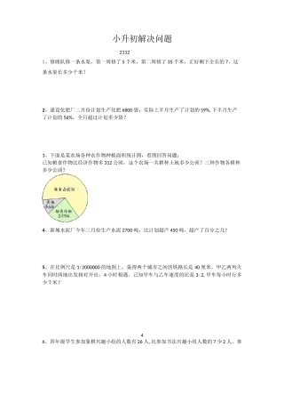 小升初解决问题