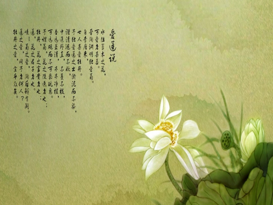 莲藕种植技术[1]_第2页