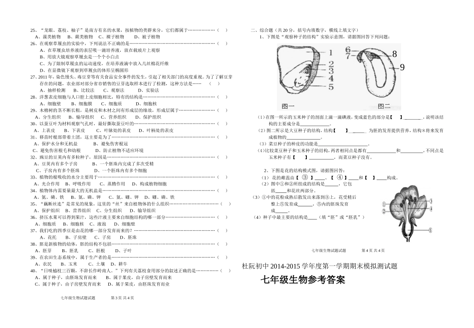 2014-2015学年七年级第一学期期末模拟测试题_第2页