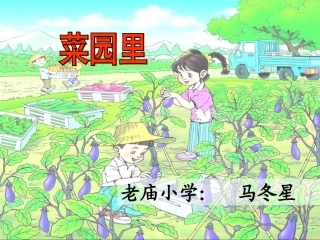 马冬星《菜园里》课件_最后定稿