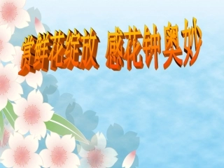 三年级13《花钟》课件 (2)
