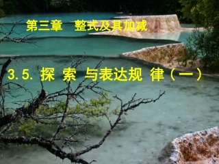 【精品课件】35探索与表达规律（1）