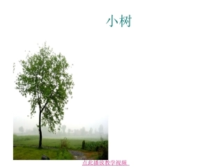 人教版一年级《爷爷和小树》