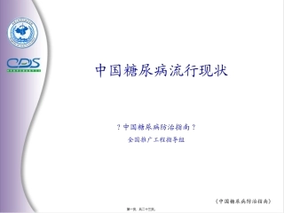 中国糖尿病防治指南2