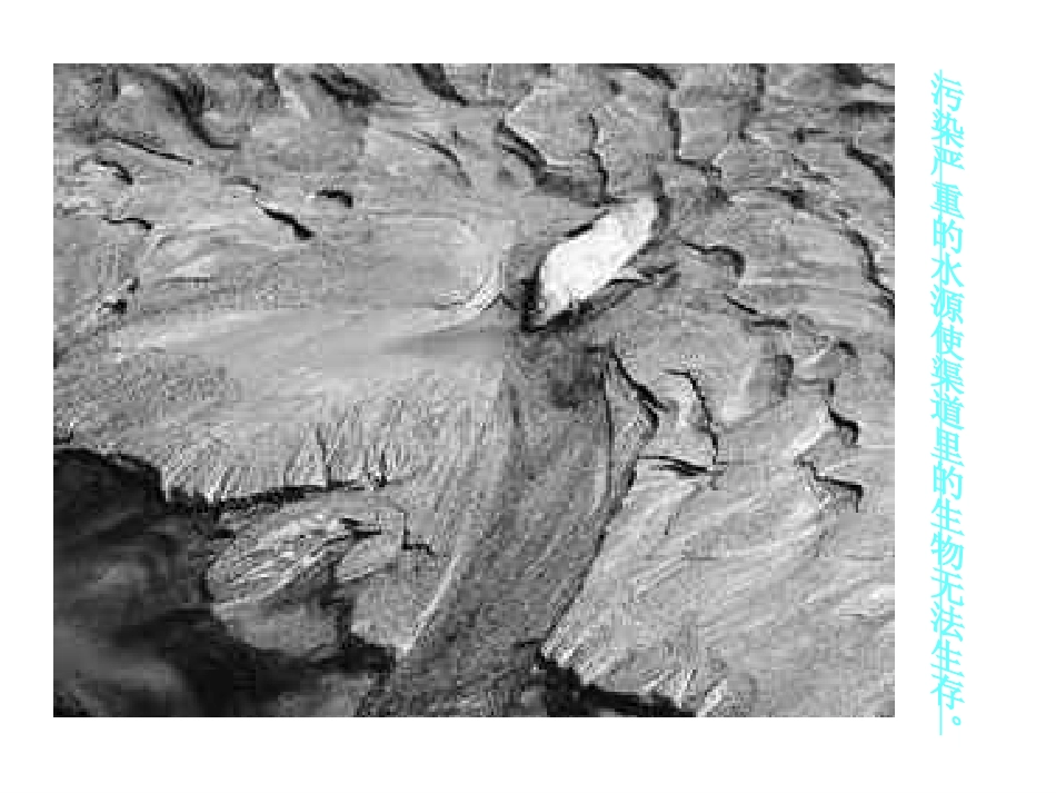 保护水资源主题班会课件_第2页