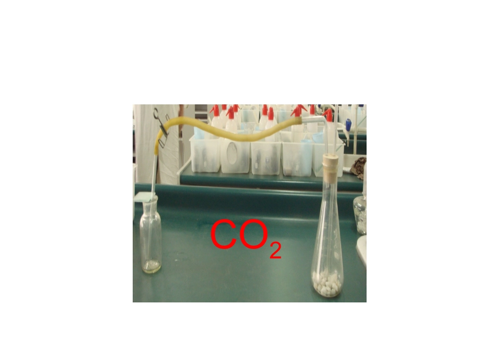 课题2二氧化碳制取的研究 (2)_第2页