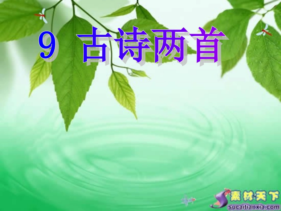 9古诗两首1_第1页