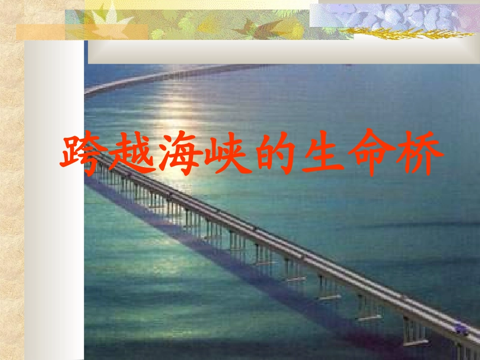 跨越海峡的生命桥1_第1页