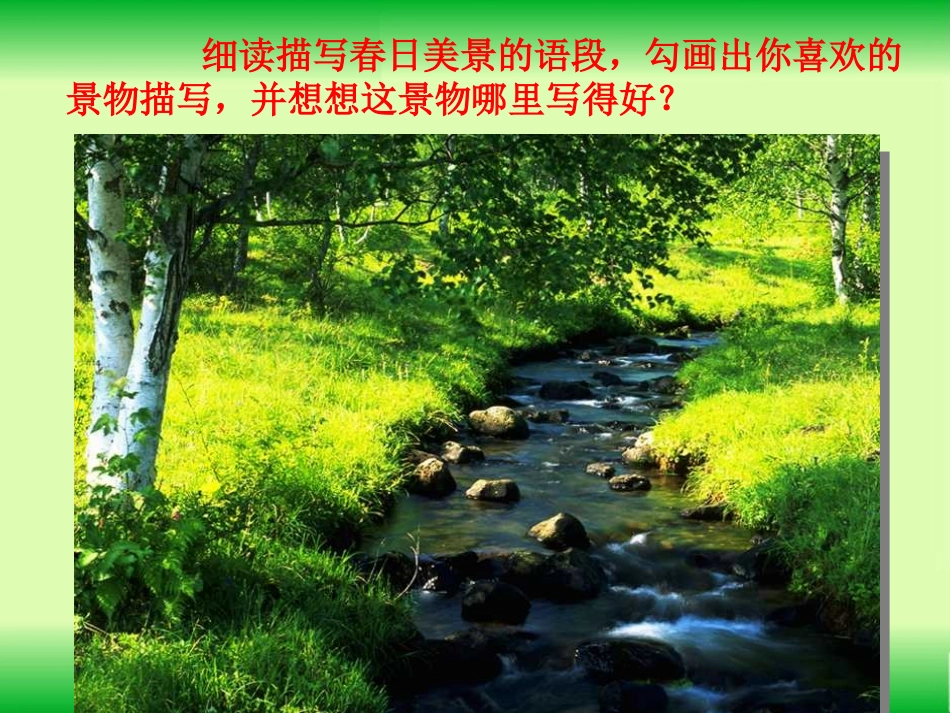 美丽的小兴安岭_第3页