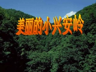 美丽的小兴安岭
