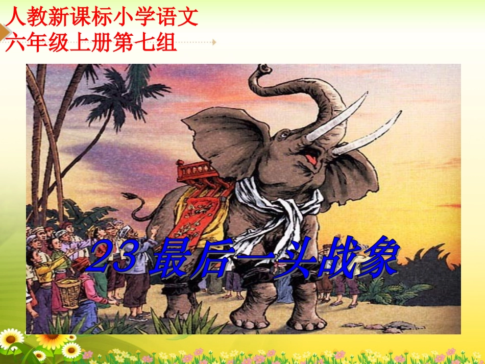 《最后一头战象》教学课件1 (2)_第1页