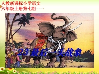 《最后一头战象》教学课件1 (2)