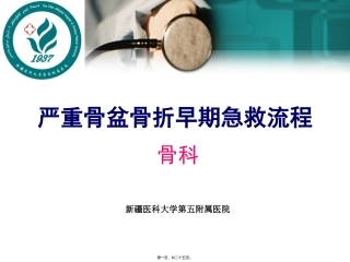 严重骨盆骨折急救流程1---副本